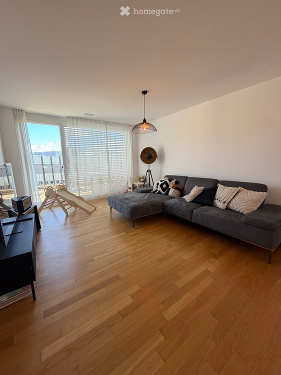 Apartment in Dietikon