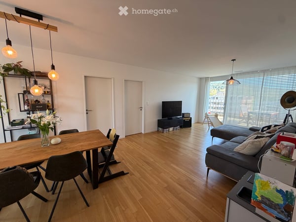 Apartment in Dietikon 2
