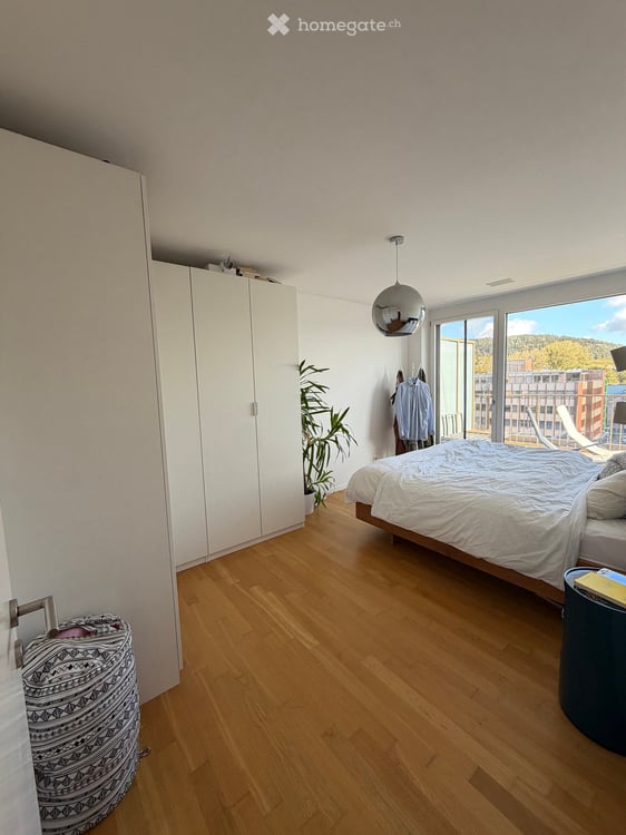 Apartment in Dietikon 4