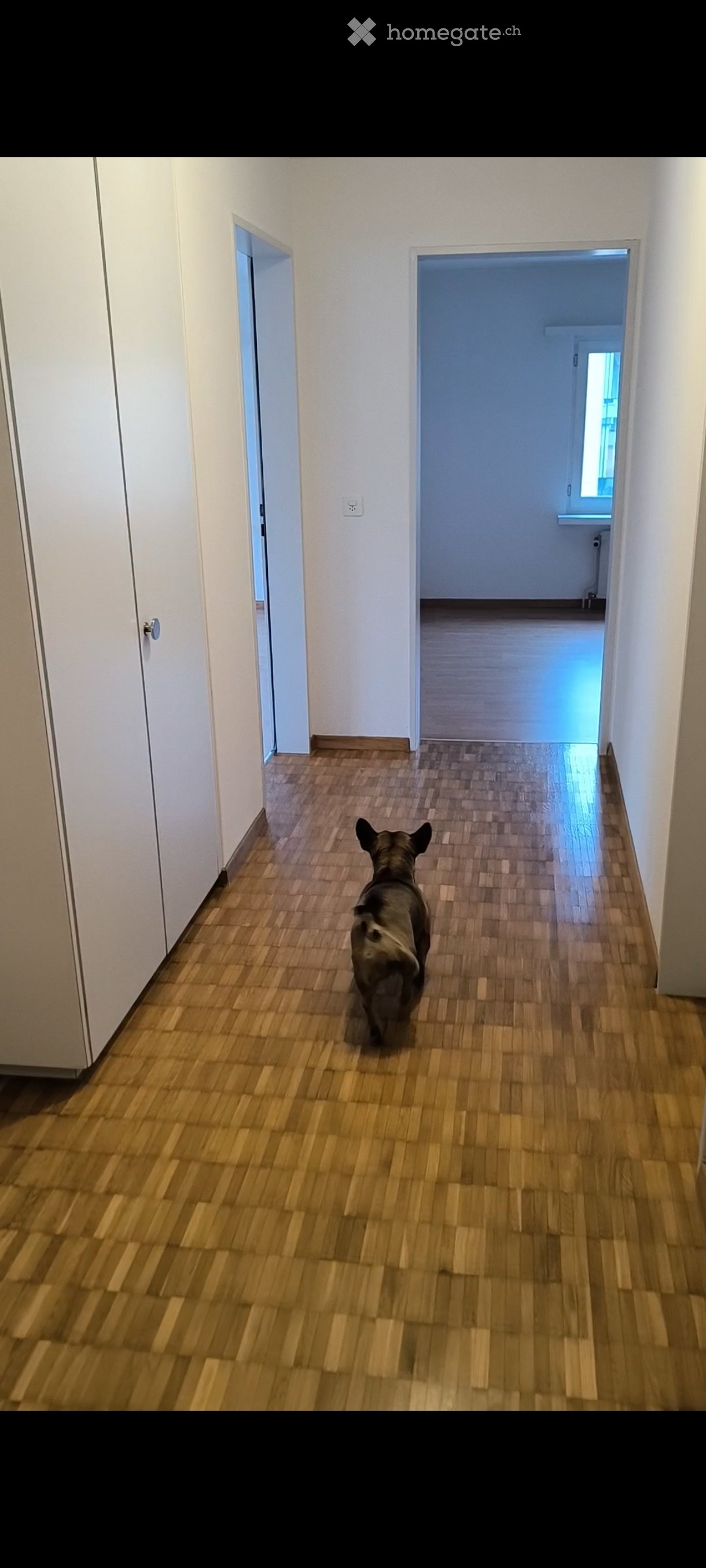 Empty hallway with wooden flooring, white walls, and two open doors leading to other rooms.