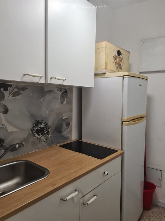 Möbliertes Wohnobjekt in Lugano 8