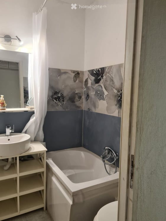 Möbliertes Wohnobjekt in Lugano 9
