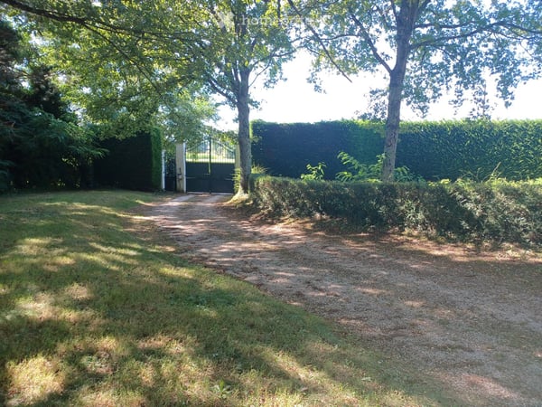 Maison de caractère avec piscine à Bouhans – 6 pièces, 225 m² sur 1,4 ha 8
