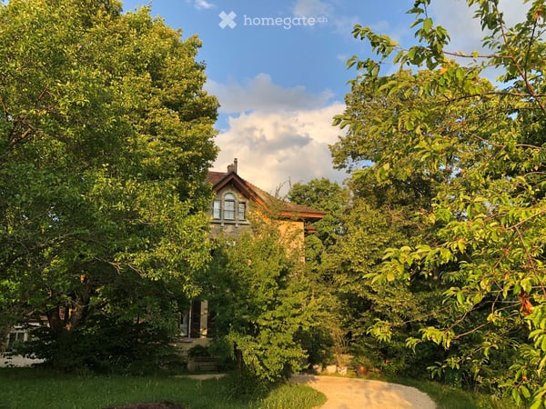 3 ½ pièces dans une maison de Maître – Un lieu de vie plein de charme et de verdure 34