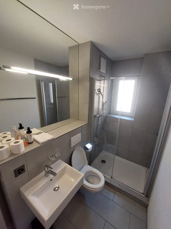 Helle möblierte 2.5 Zimmer Wohnung nähe Sihlcity 10