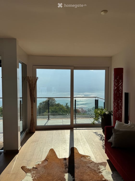 Möbilierte 2.5 Zimmerwohnung mit Top Aussicht 5