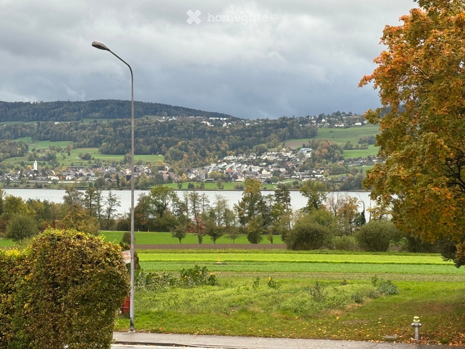 Scenic view of a town with a lake, green fields, trees, and distant hills under a cloudy sky.