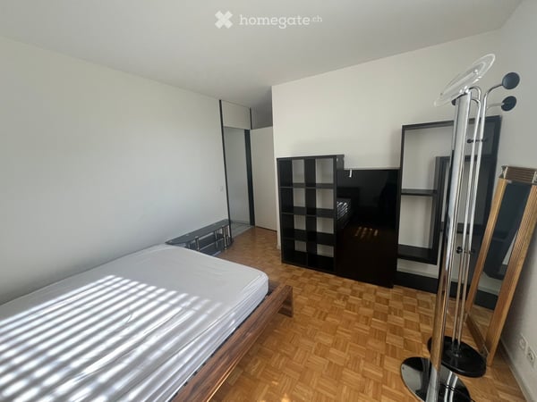 Shared 3,5 Room Apartment in Lugano 2