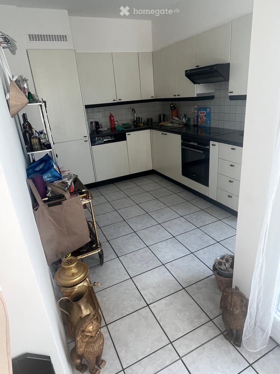 Shared 3,5 Room Apartment in Lugano 5