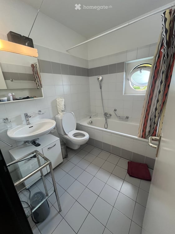 Shared 3,5 Room Apartment in Lugano 1