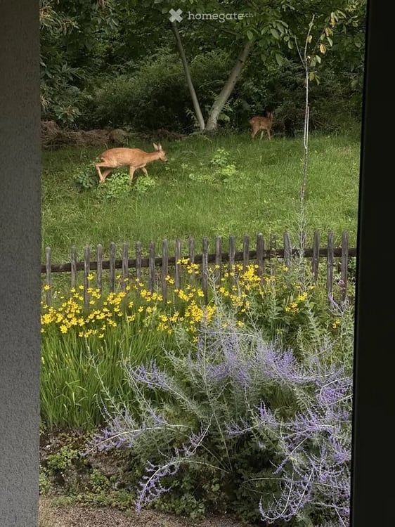 Großzügiges Wohnen mit Weitblick – 140 m², Garten, Kamin & PV in Steine- nahe Basel 13