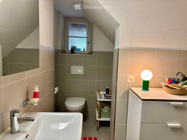 Einfamilienhaus in Muttenz 19