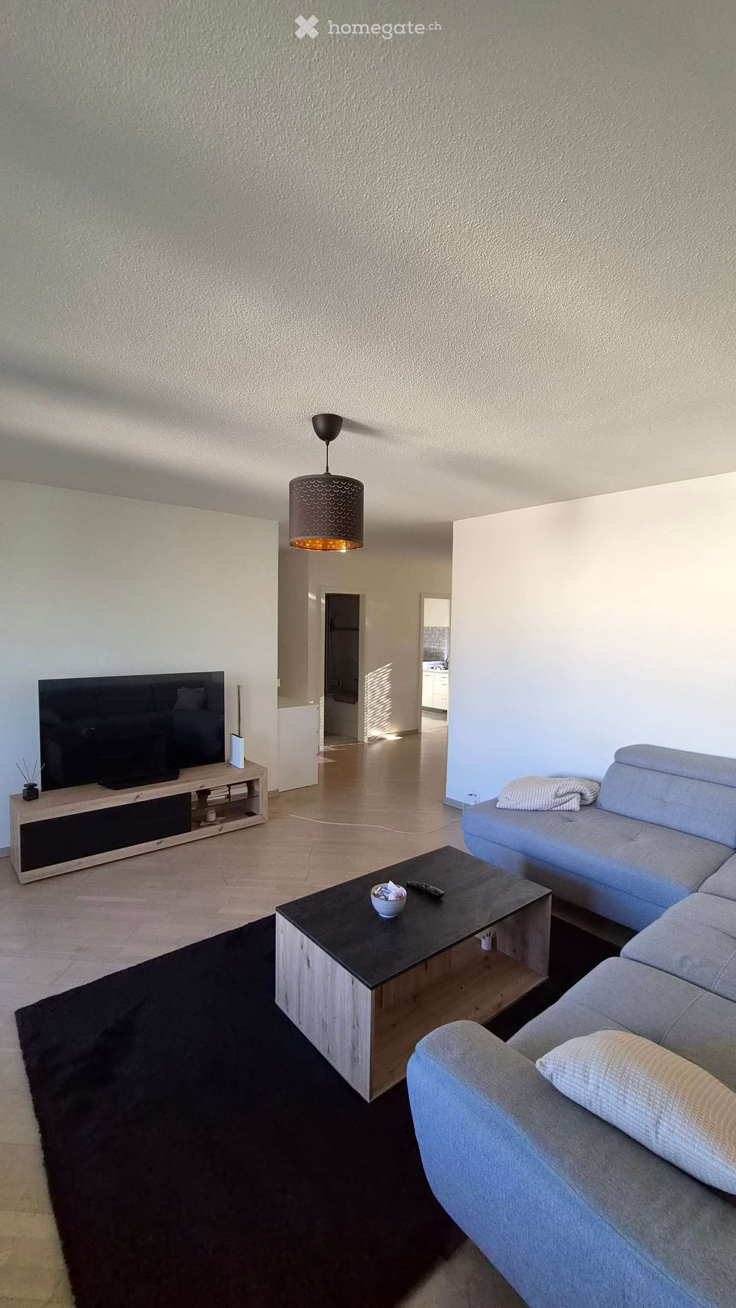 Modern living room with a grey sofa, black coffee table, flat-screen TV on a wooden stand, and a hanging lamp.