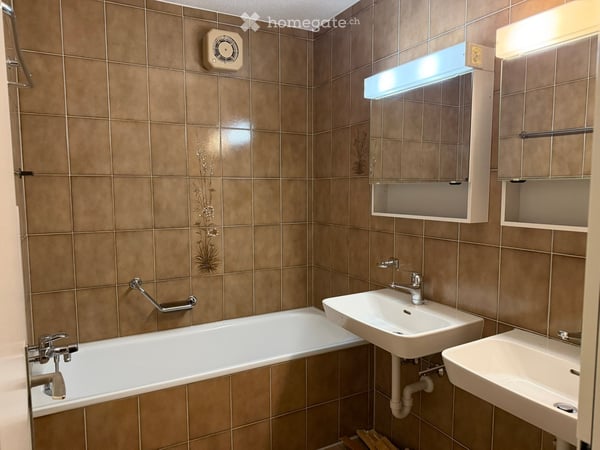 Helle Wohnung mit grossen Sitzplatz 2