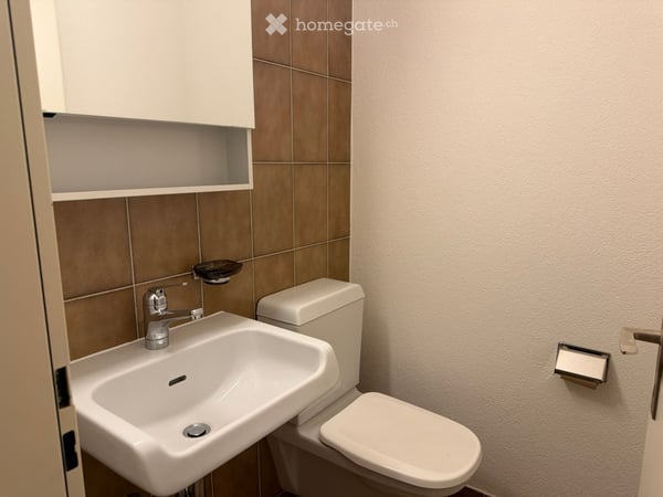 Helle Wohnung mit grossen Sitzplatz 3