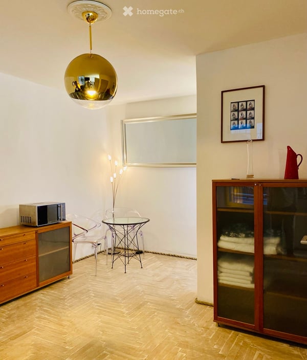 1-bedroom furnished apartment (3 rooms), 43 m² Old Town of Geneva 6