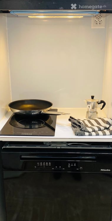 1-bedroom furnished apartment (3 rooms), 43 m² Old Town of Geneva 12