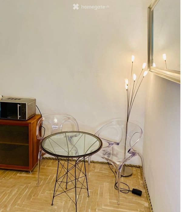1-bedroom furnished apartment (3 rooms), 43 m² Old Town of Geneva 5
