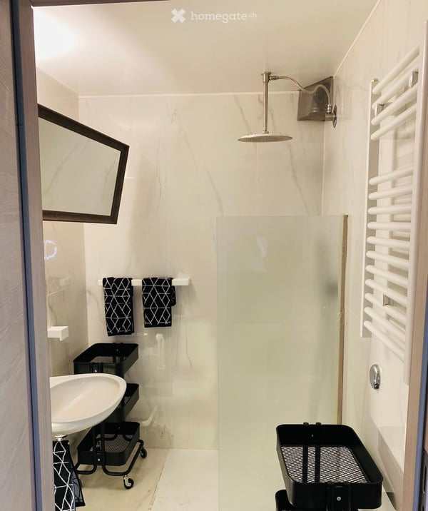 1-bedroom furnished apartment (3 rooms), 43 m² Old Town of Geneva 8