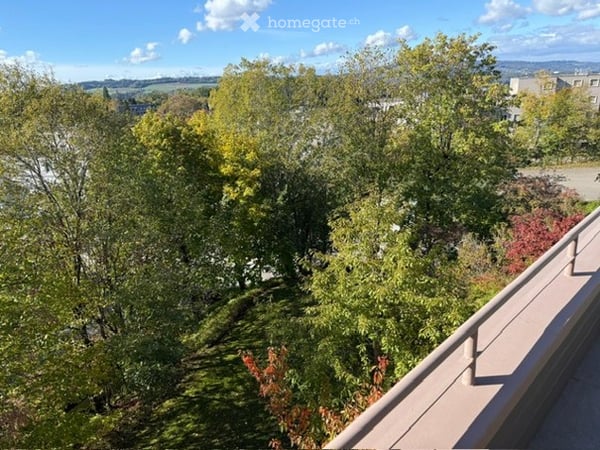 Exklusive Attikawohnung mit Galerie, Cheminée, unverbaubarem Weitblick, 2 TG-Stellplätzen