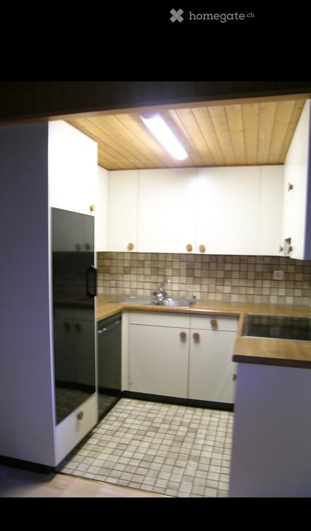 Duplex-/Maisonette-Wohnung in Gattikon 4