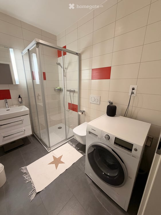 Grand studio meublé de 47m2 et équipé à côté du M2 Fourmi (proche EHL). 5