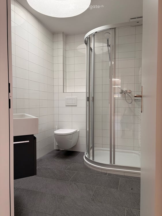 Wohnen über dem Zürichsee – 150 m² Wohnfläche und 250 m² Terrasse mit Weitsicht 13