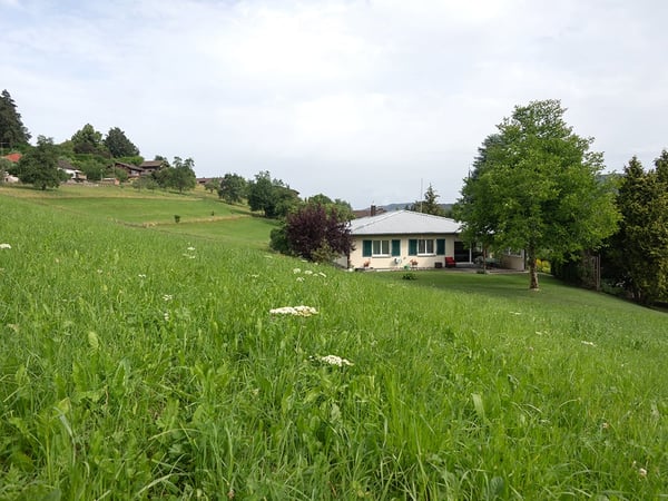 Immagine anteprima degli immobili