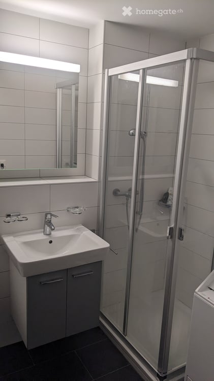 Rent a 3 ½ rooms apartment in Glis 2