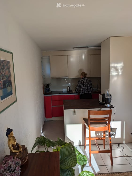 Furnished 2.5-Room Apartment in Urdorf – Renovated & Move-In Ready 2