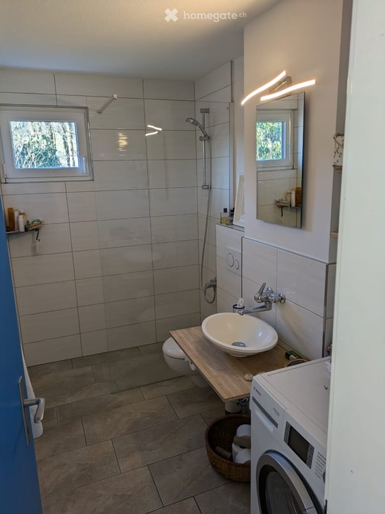 Furnished 2.5-Room Apartment in Urdorf – Renovated & Move-In Ready 3