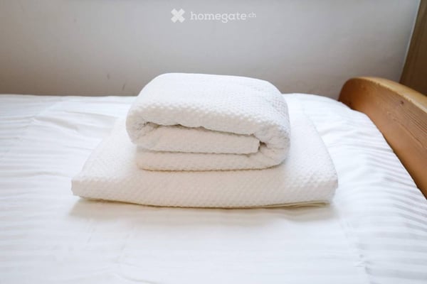 Helle 2.5 Zimmer Wohnung nähe Sihlcity 36
