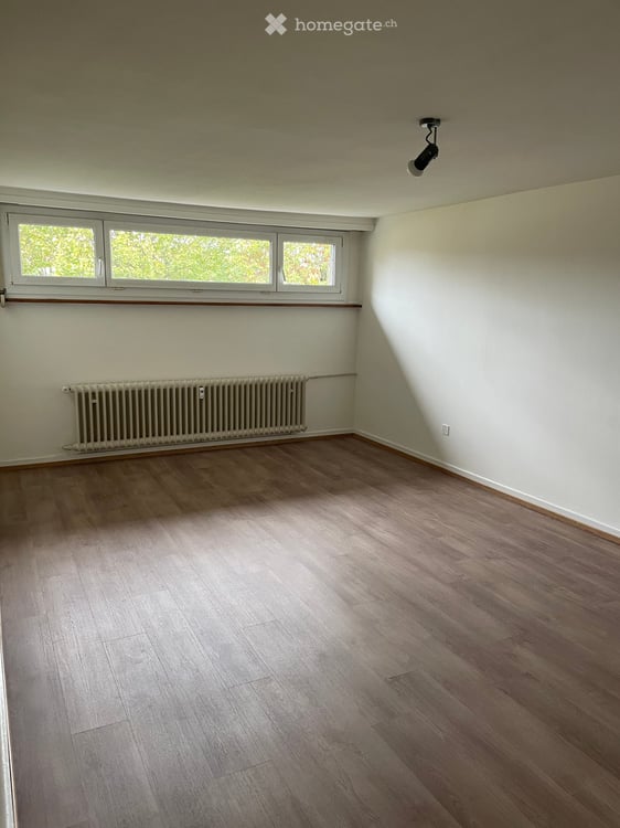 2.5-Zimmer Maisonette Wohnung mit Galerie nähe ZOO Dorenbach 9