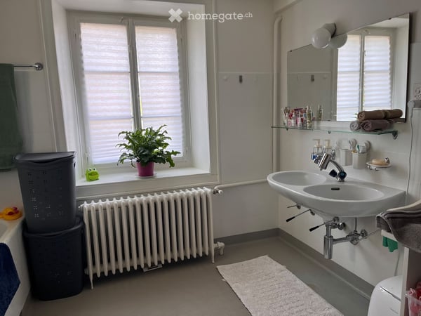 Duplex/maisonette in Volketswil 5