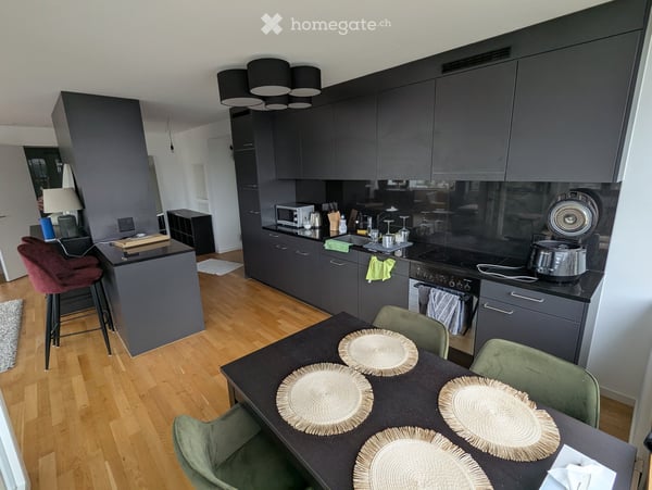 Appartment hoch über Zürich im Kreis 5 2