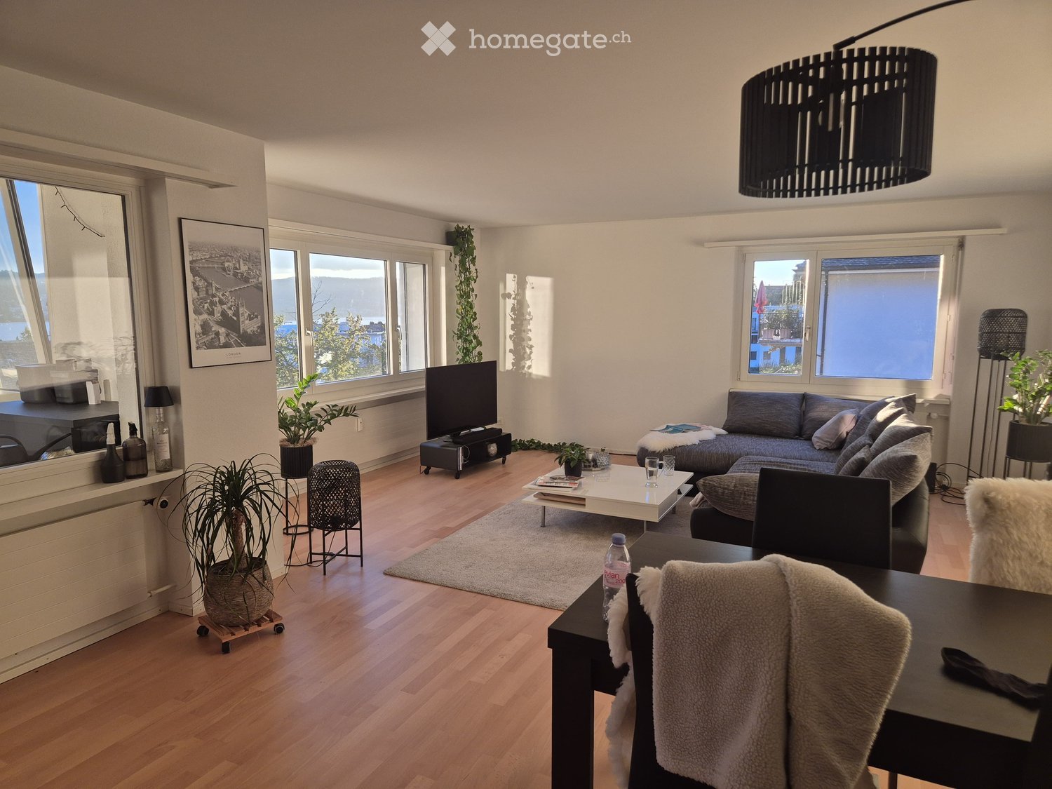 Modern living room with wooden flooring, large windows, grey sectional sofa, coffee table, TV, and decorative plants.