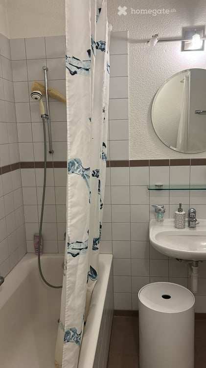 Nachmieter für 2.5 Zimmerwohnung gesucht 5