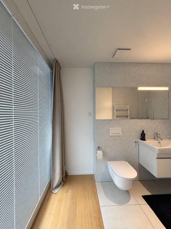 Moderne 1.5-Zimmer-Attikawohnung mit riesiger Terrasse und Blick auf den Uetliberg 6