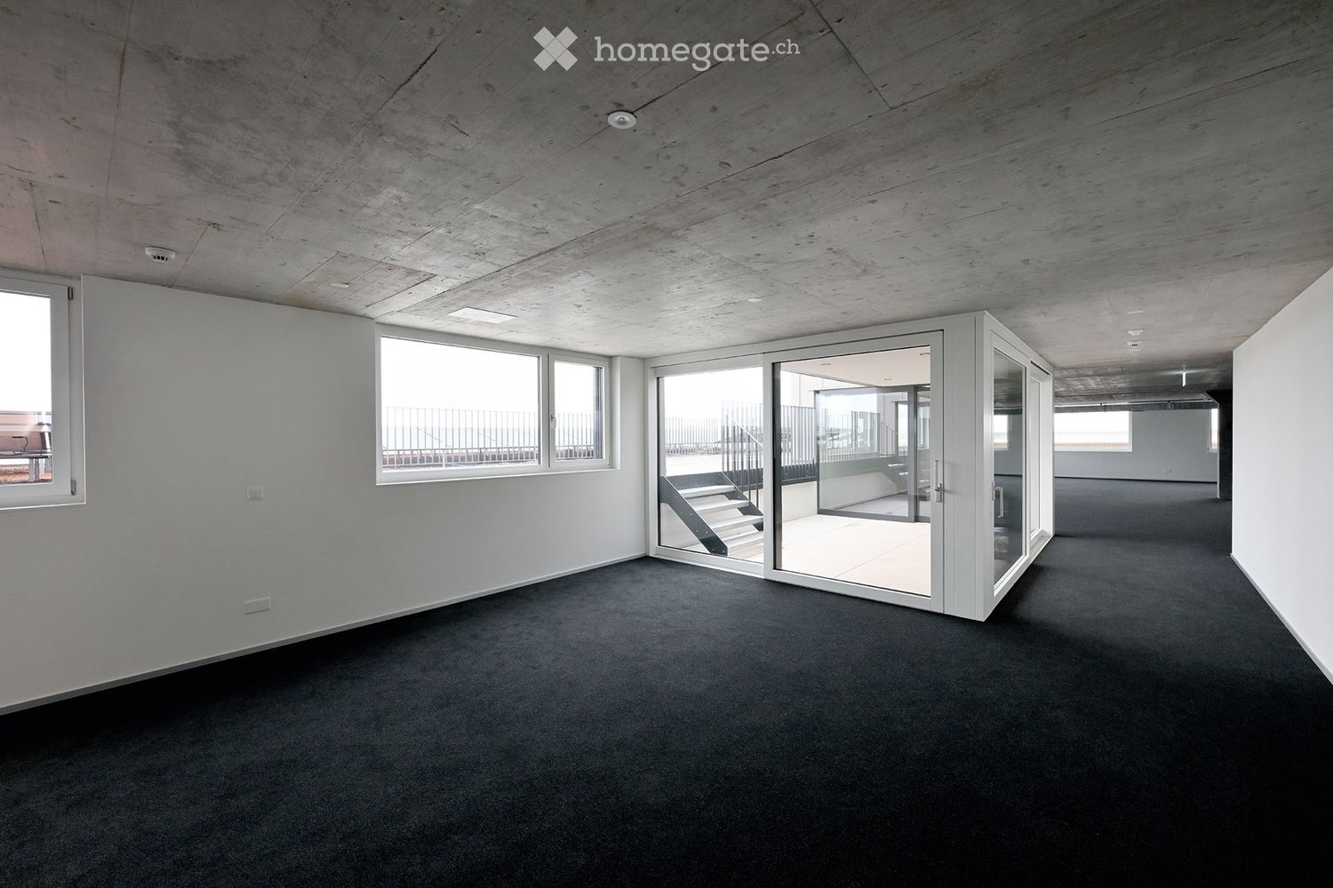 Empty room, glass doors, window, black carpet, concrete ceiling