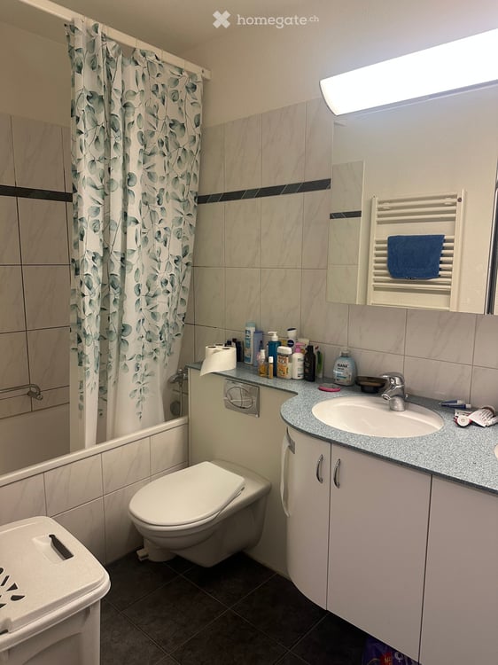 Attraktive und grosszügige 2 – Zimmer Wohnung mit Balkon in Oberrieden 4