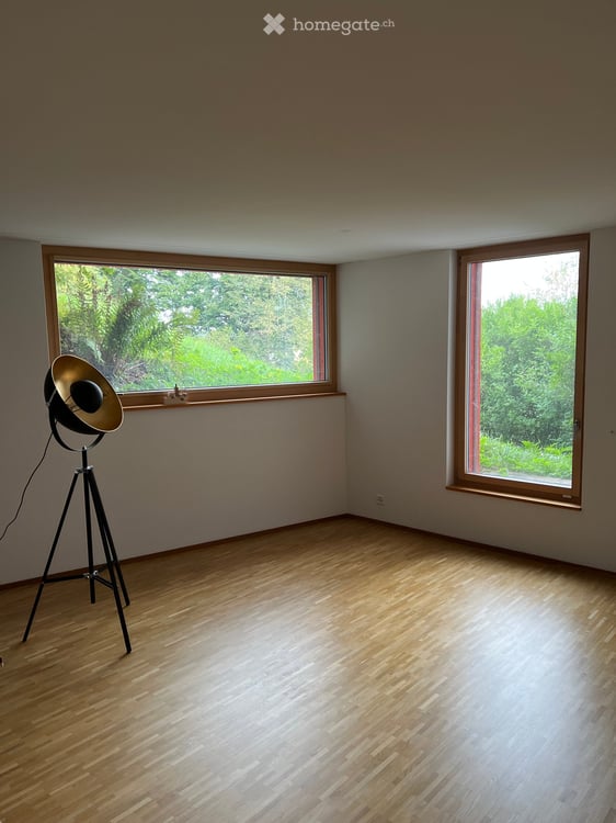 Loft / Atelierwohnung / Gewerbeobjekt in Wetzikon ZH 6