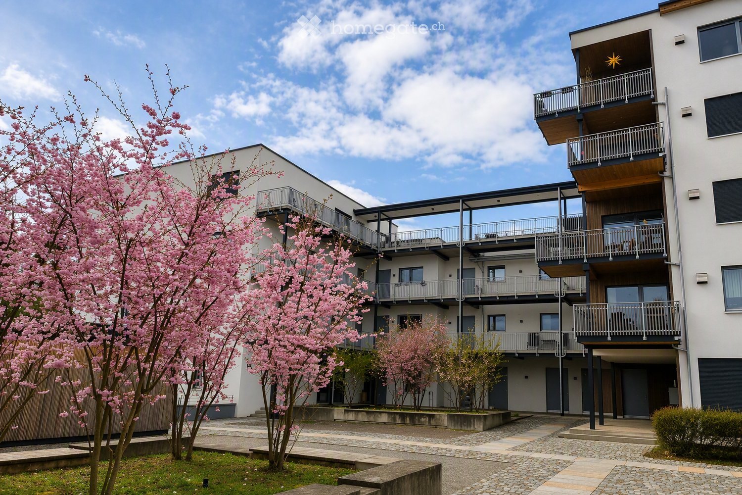 Modern multi-story residential building with balconies, surrounded by cherry blossom trees and a paved courtyard.