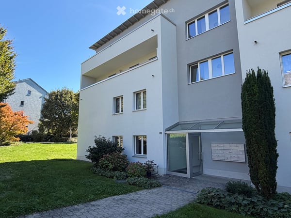 Helle neu renovierte, grosszügige Wohnung in Männedorf