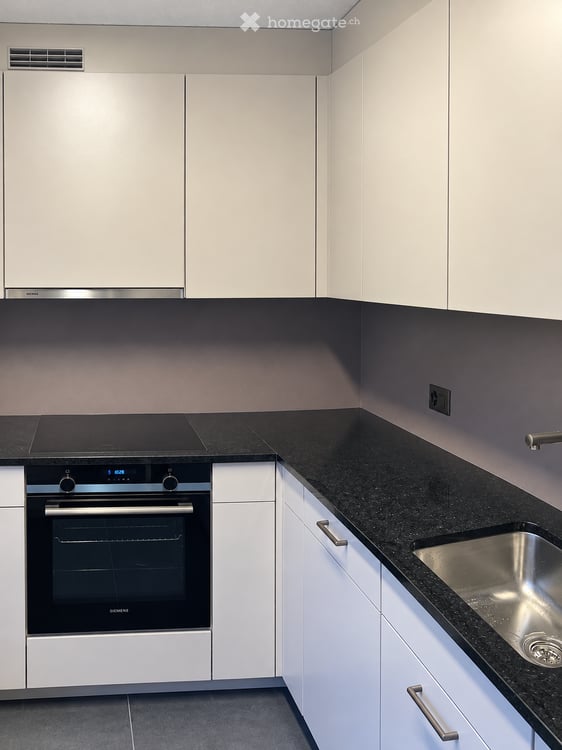Renovierte 4.5-Zimmer-Wohnung an ruhiger, grüner Lage in Zürich-Leimbach 2