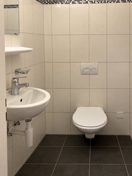 Renovierte 4.5-Zimmer-Wohnung an ruhiger, grüner Lage in Zürich-Leimbach 6
