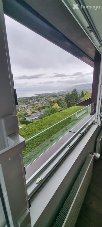 Appartement à Chernex vue sur lax 1