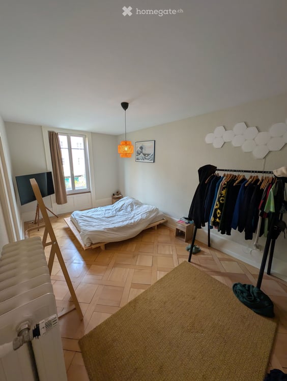 Charmante Zentrale Wohnung 2
