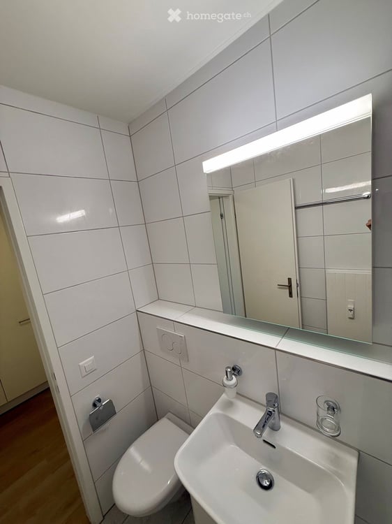 Neu sanierte Singlewohnung 6