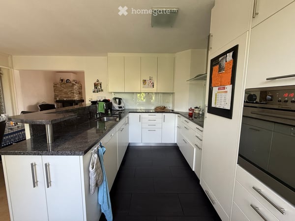 Idyllische Einfamilienhaus mit grossen Garten in Uster 5