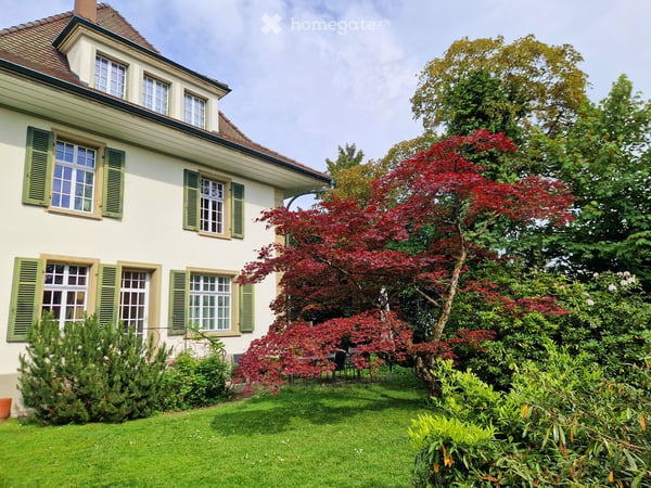 Grosser privater Garten und ein Monat mietfrei!